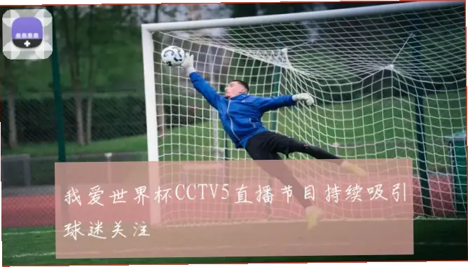 世界杯live直播为何比录播更吸引球迷？